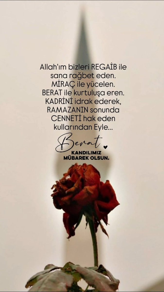 Can Tanem tweet media