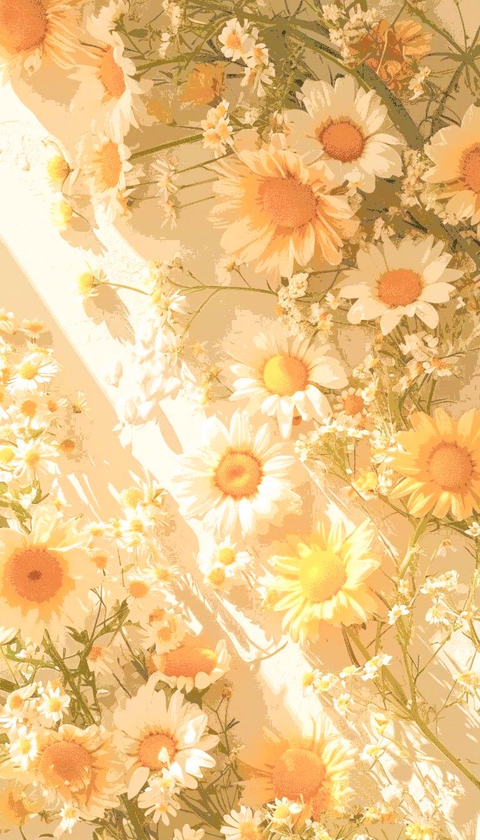 𝑄𝑢𝑒𝑒𝑛 𝙍͟𝖺͟𝘆. tweet media