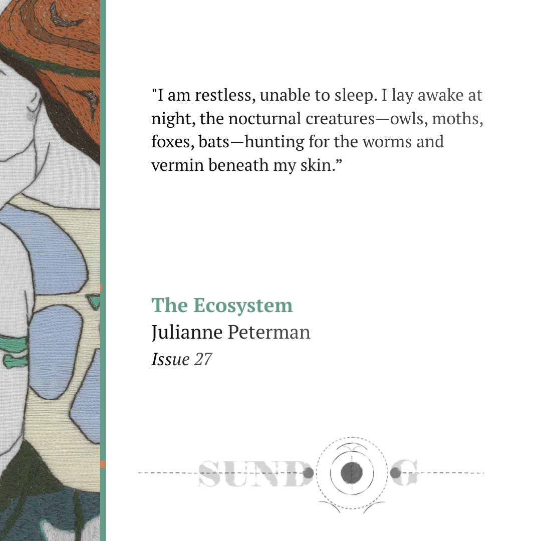 Sundog Lit tweet media