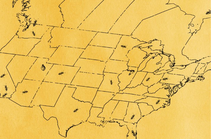 Noah Kahan Nation | The Great Divide 4.24 tweet media