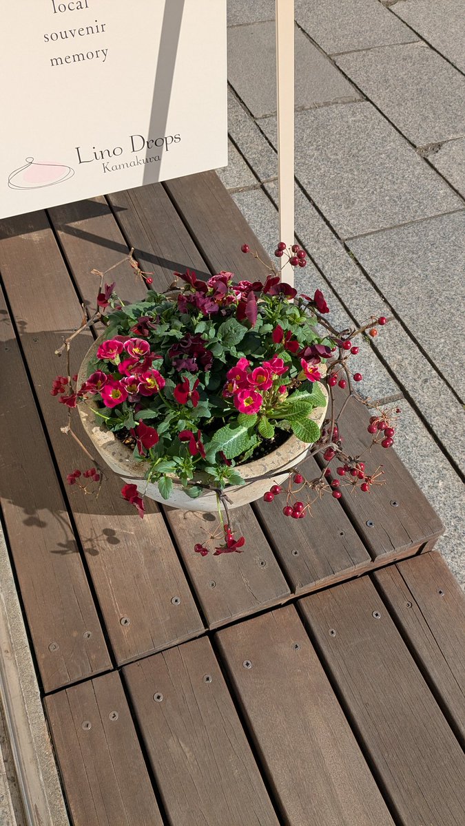LinoDrops's tweet photo. こんにちは!
お店前のお花が新しくなりました✨
2月らしいお色味で今月もすごく可愛らしいです🥰
木のみもたくさん!お店へお立ち寄りの際はぜひご覧くださいませ♪
#リノドロップス
#linodrops
#鎌倉
#桜貝
#由比ヶ浜 https://t.co/wLvxzI1sye