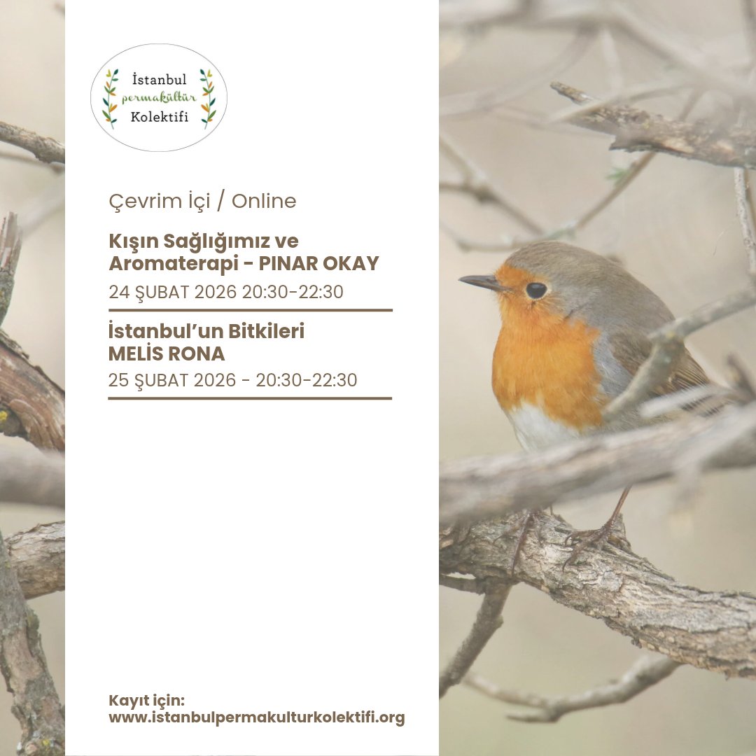 Şubat 2026 programımız belli oldu. Detaylar ve kayıt formuna profilimizdeki bağlantıdan ulaşabilirsiniz.