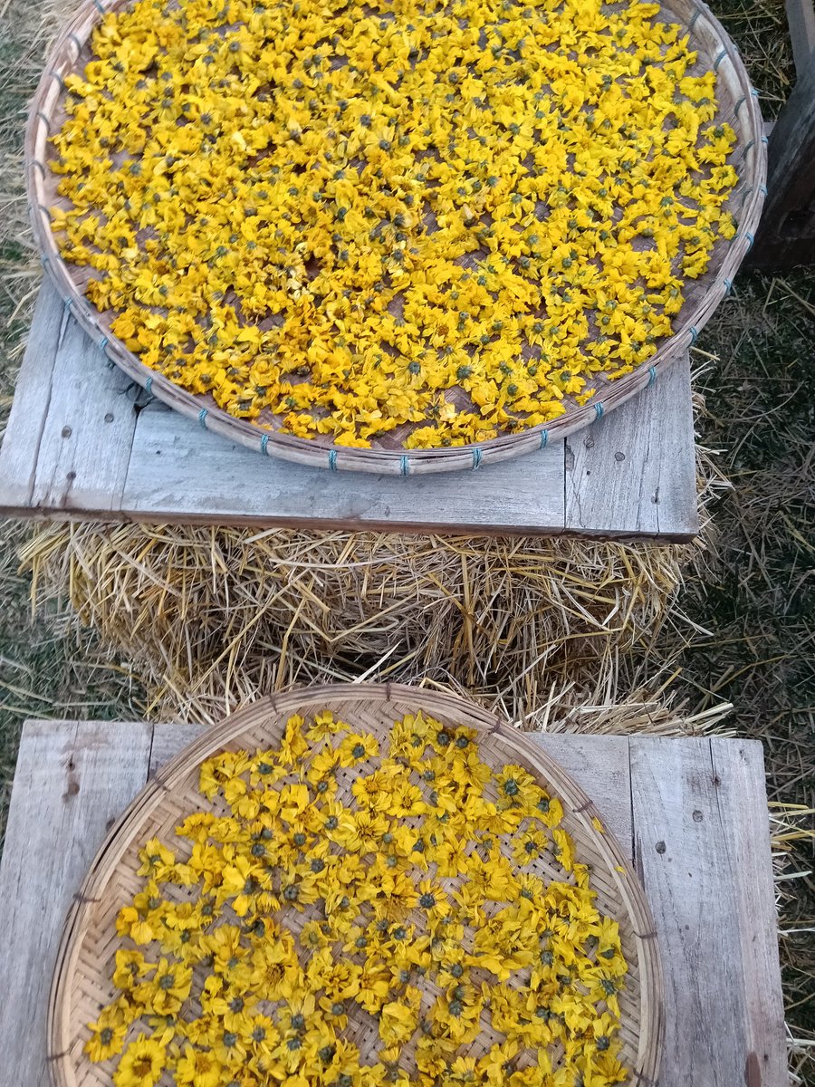 เก็บไปคิดถึงไป น้ำตาซึมไป คิดถึงจิงๆนะคิดถึงมาก #YUGYEOM