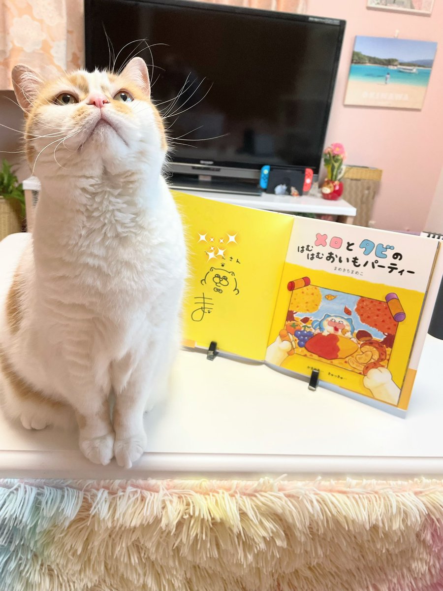 チャコ tweet media