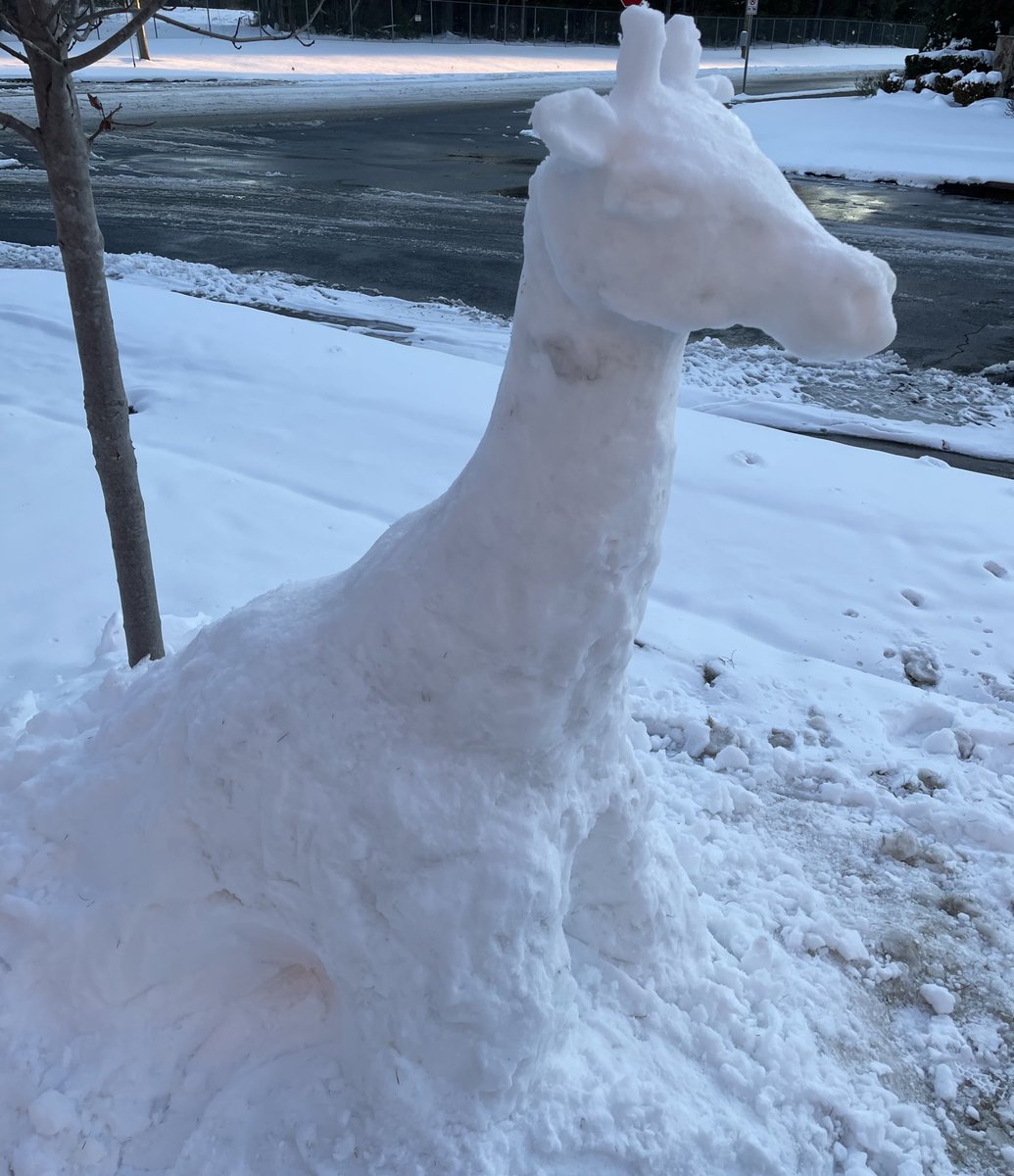 we are already in the snow 🦒