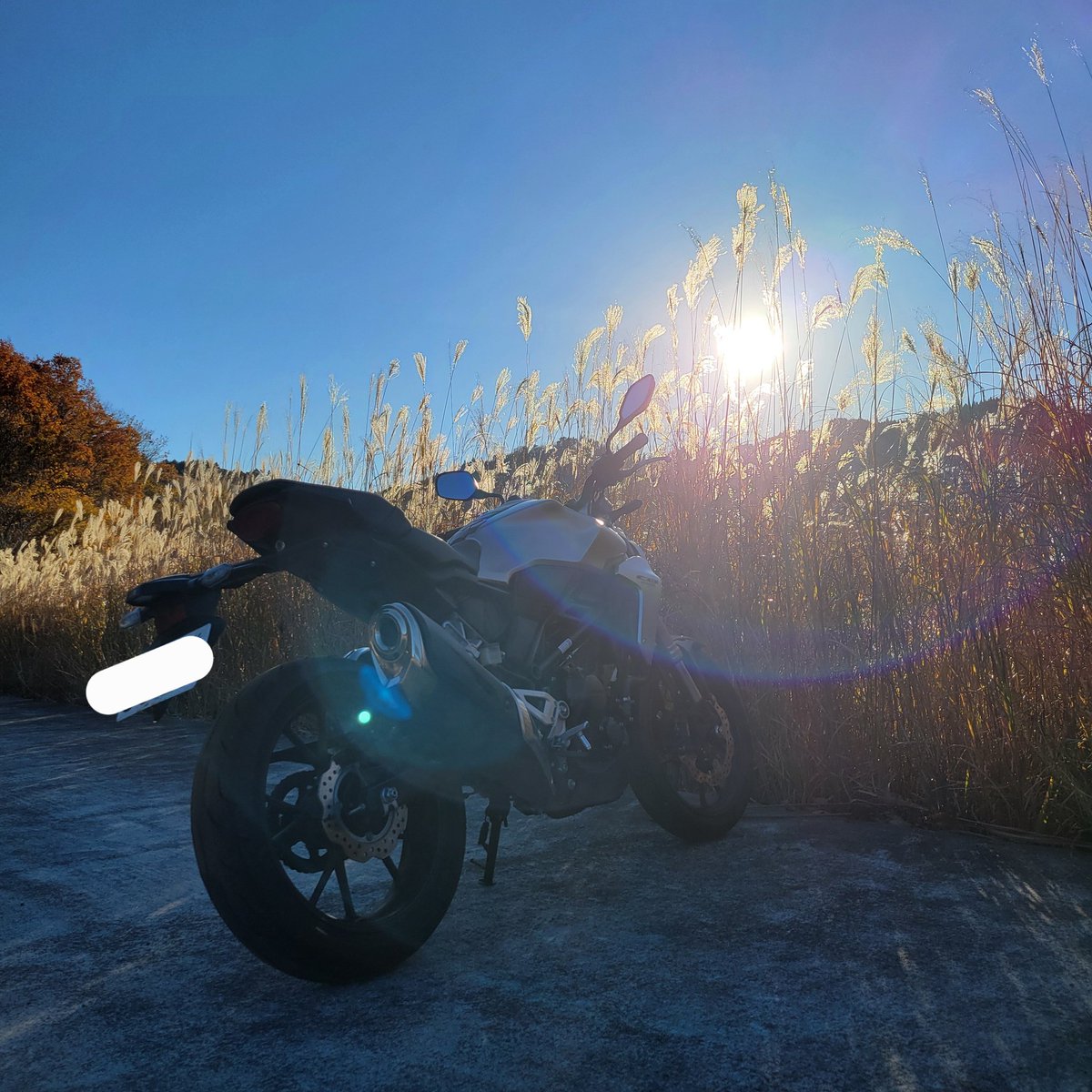 ななせ tweet media