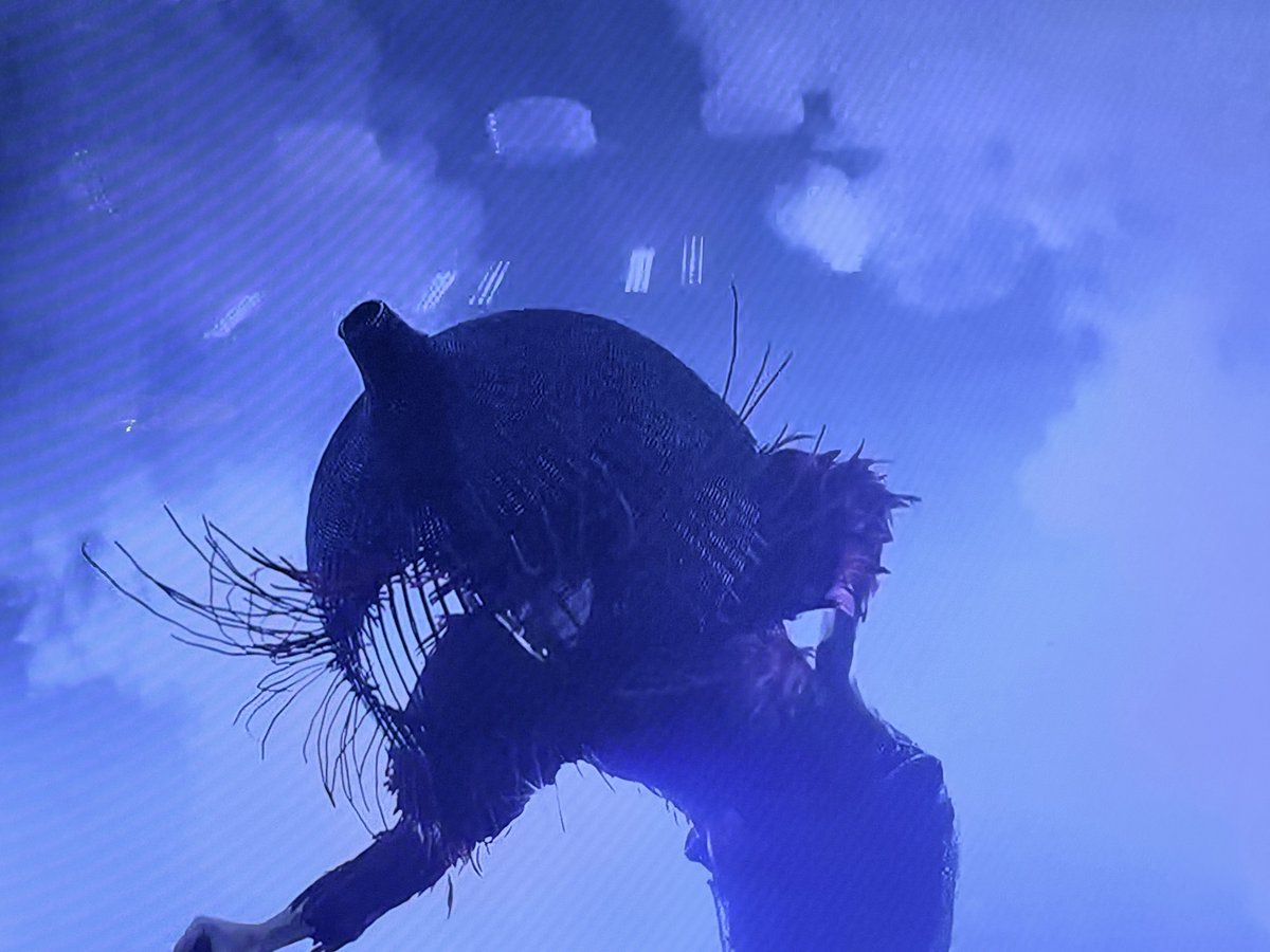 ⚡️☈achieve⚡️ tweet media