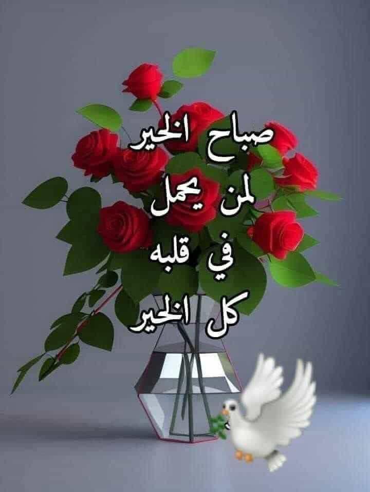 صباح الخير