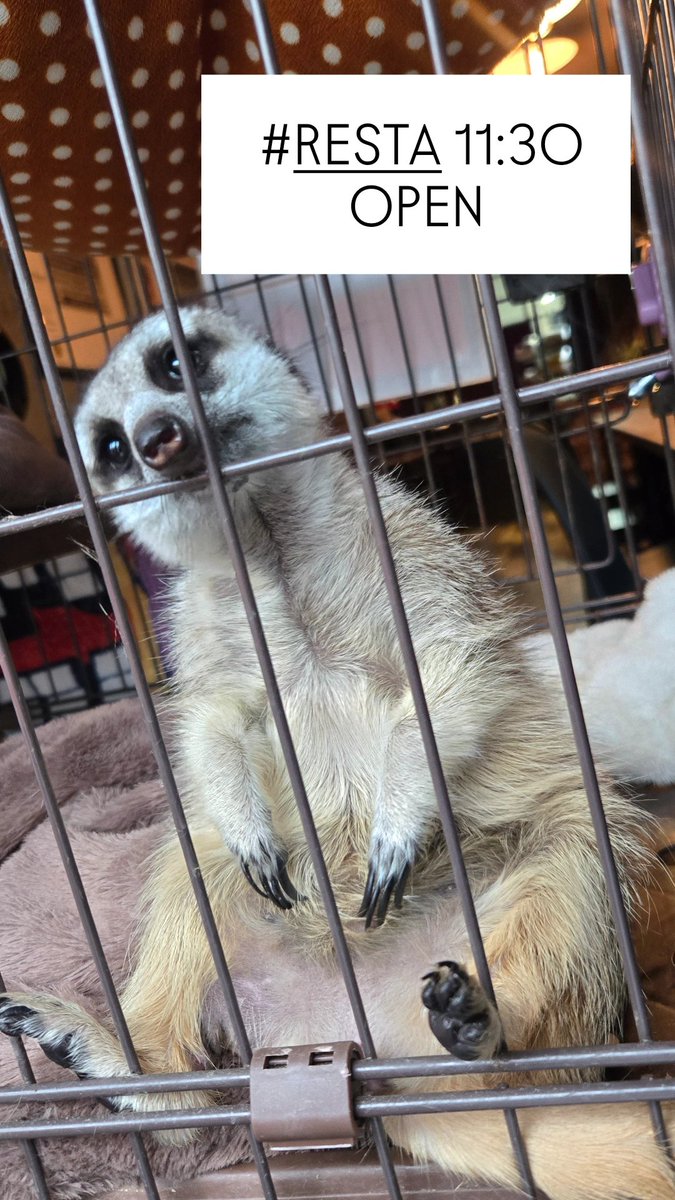 #RESTA 11:30 -  ̗̀ 𝙊𝙋𝙀𝙉 .ᐟ.ᐟ   ̖́-
月曜日お待ちしております☕️🥖
レッスンのご予約を順番にお返事しております！よろしくお願いいたします🎸

明日は臨時休業です💦ご注意ください🙇