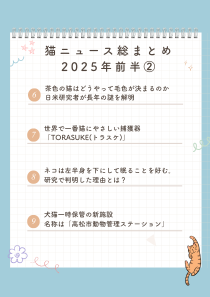 ねこ検定 公式 tweet media