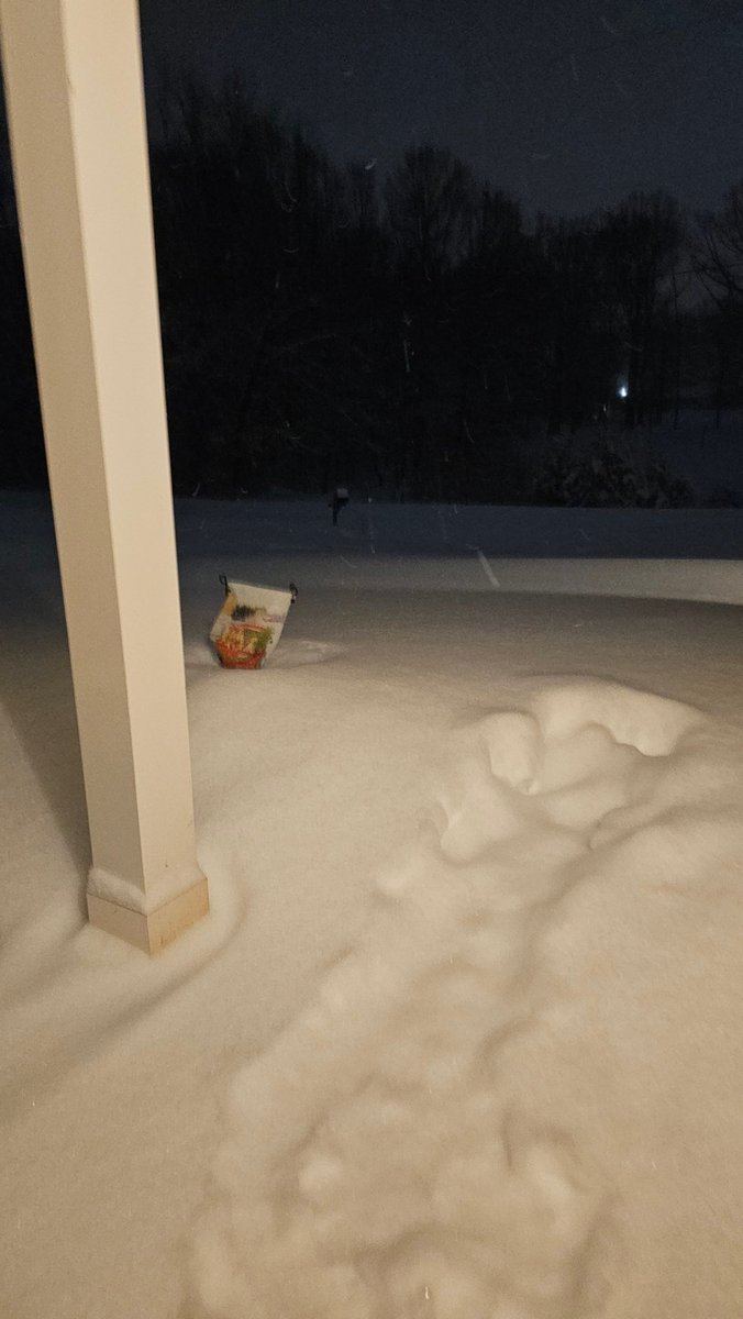 As a lifelong North Carolinian, I have never seen snow like this here in my life. Almost 16 inches of snow?!