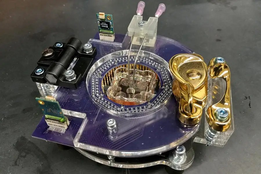 I have just been informed that one of the teams competing in the AI Grand Prix is using a biological computer built with cultured mouse brain cells to control their drone.

At first look, this seems against the spirit of the software-only rules.  On second thought, hell yeah.