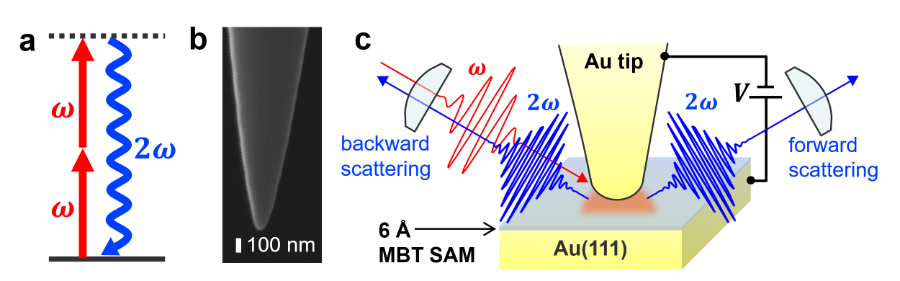 ims_I_office's tweet photo. Breakthrough in nonlinear electrophotonics: 2000%-V⁻¹ electric enhancement of nonlinear light generation using an angstrom-scale plasmonic junction 
（IMS SUGIMOTO Group) https://t.co/cLVzzNSbtP 

#pressrelease https://t.co/lrAbshWlNk