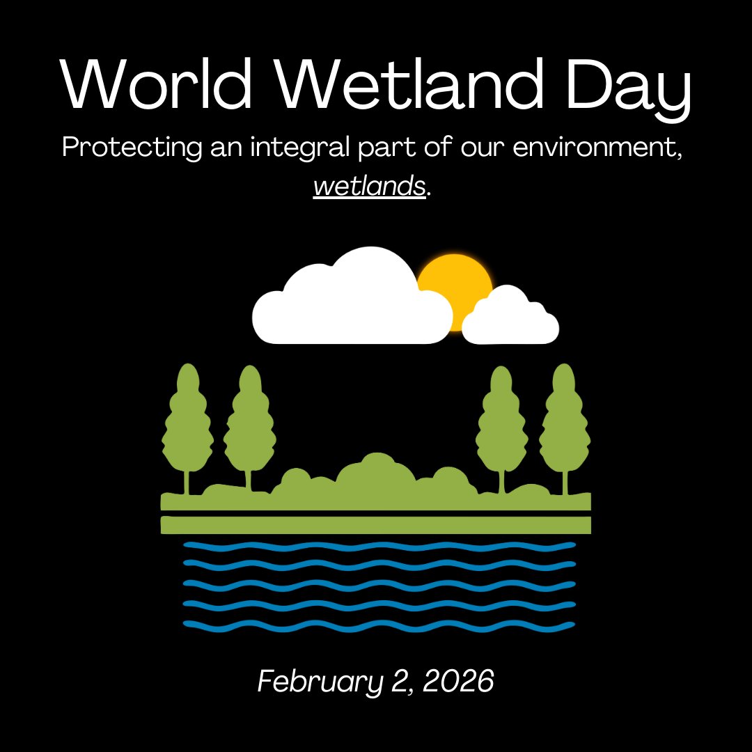 SPPHERElab's tweet photo. Happy World Wetlands Day! 💧🌿Wetlands protect life in so many ways: they filter water, help prevent floods, store carbon, and shelter countless species. Let us protect them, restore them, and speak up for them. 💙
#WorldWetlandsDay #ProtectWetlands #WetlandsMatter https://t.co/CQIpnPpUhg