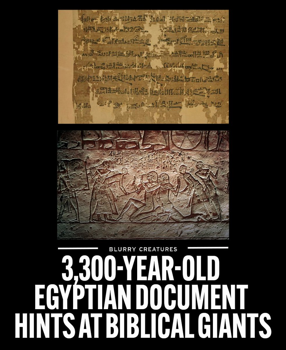 Wow! As we’ve been saying since the show started. Giants are real.