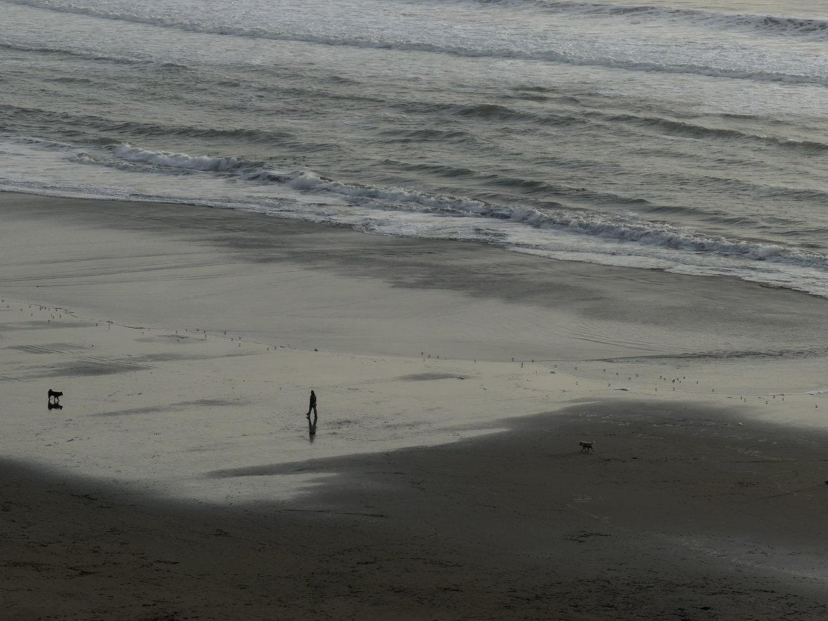 matt palmer tweet media