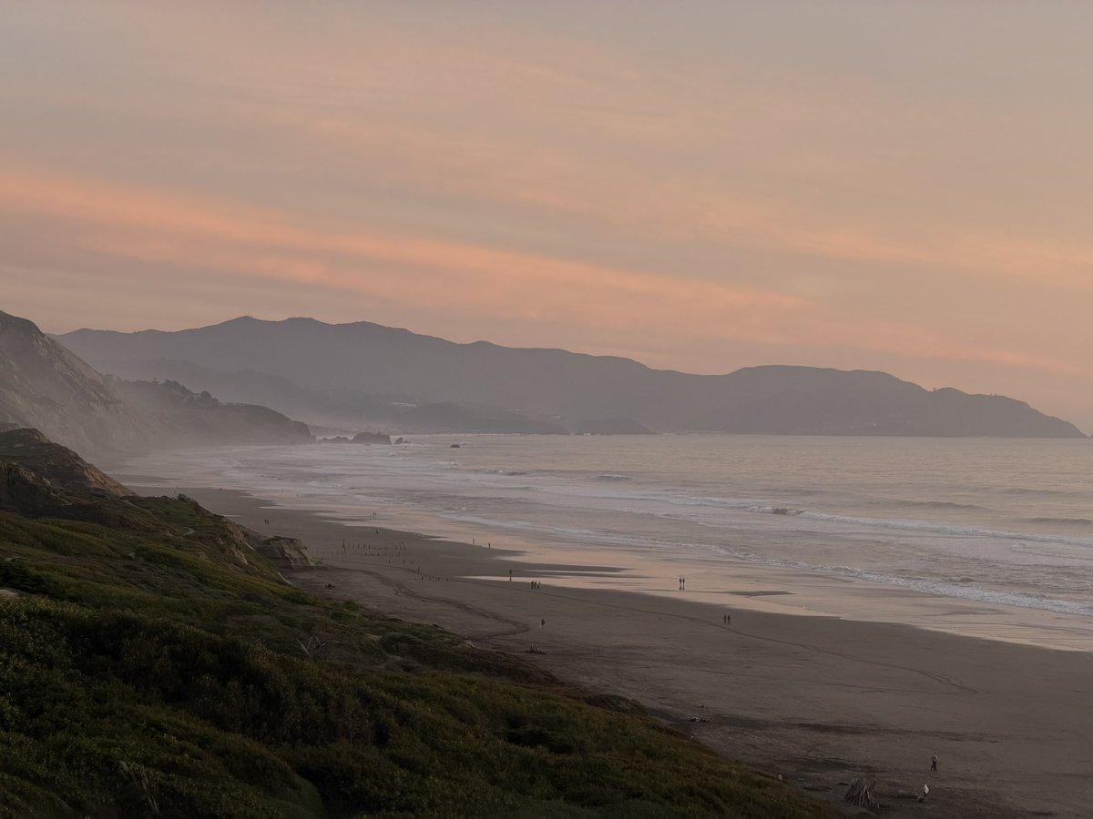 matt palmer tweet media