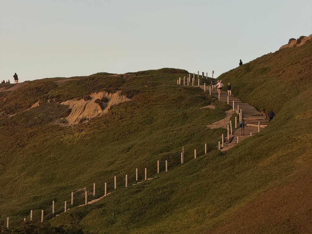 matt palmer tweet media