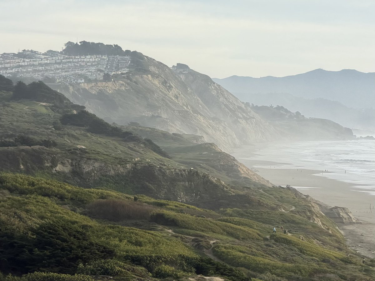 matt palmer tweet media