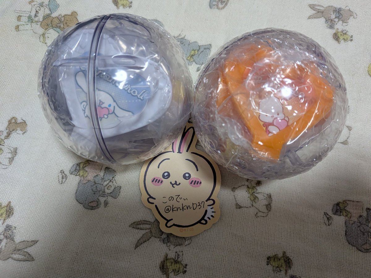 このでぃ tweet media