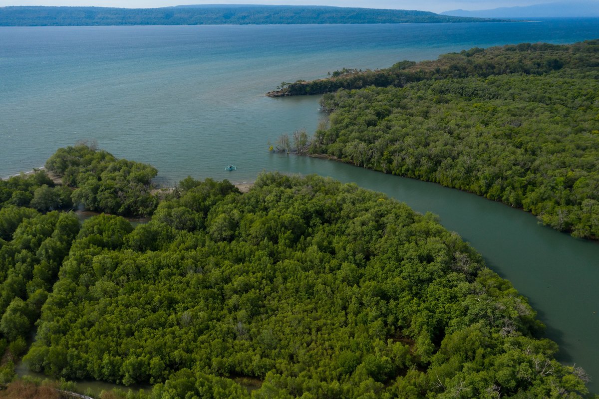 CIFOR-ICRAF Indonesia tweet media