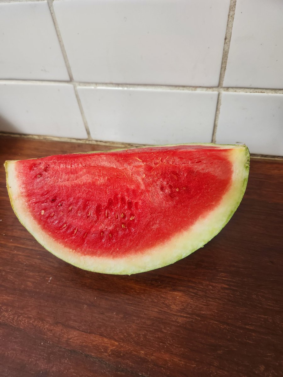 Shane Withington. tweet media