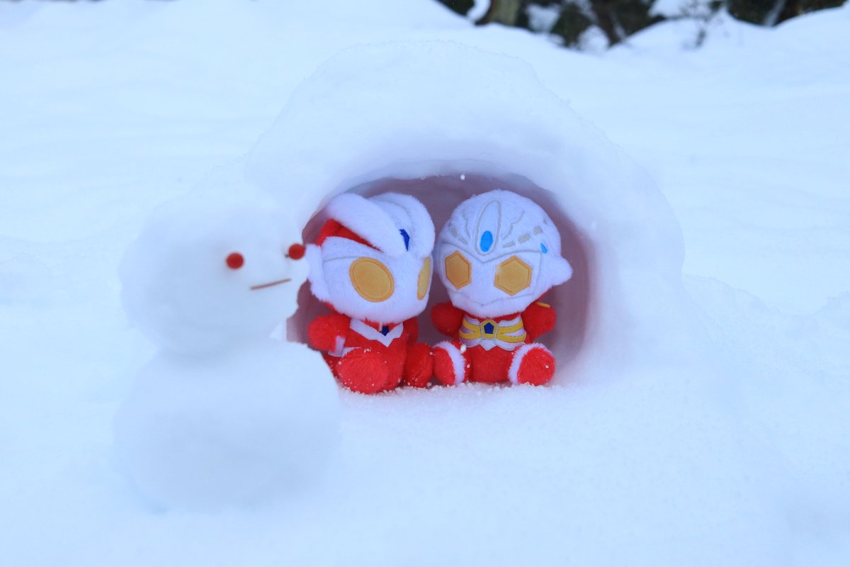 ultraman_shop's tweet photo. ☆季節のおたより☆
2月になりました🧶
ふわふわ #ウルトラマンマックス と #ウルトラマンゼノン と雪遊び❄️かまくらも雪だるまも上手に作れました⛄️
2月は1年でいちばん寒い季節です🌨️
あったか〜くしてふわふわと冬の思い出をつくってくださいね🧥
#ふわふわといっしょ https://t.co/1tmmqSg1V8