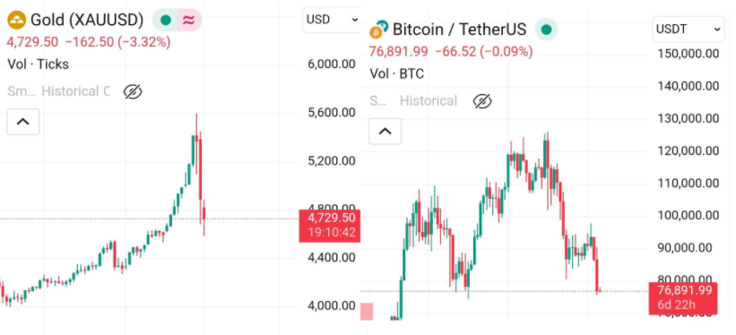 David Tran tweet media