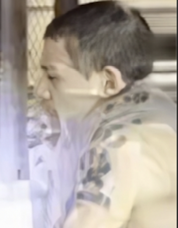 HopsClouds's tweet photo. @ViralVideos Make that mfer famous. @LAPDHQ Here's your guy who assaulted a journalist not ONCE but TWICE. Find this little mfer and charge him! Infuriating to watch that video. @TrafficNewsLA Make sure you press charges! This is the exact type of SOB ICE is deporting. https://t.co/zDmp6nNAht