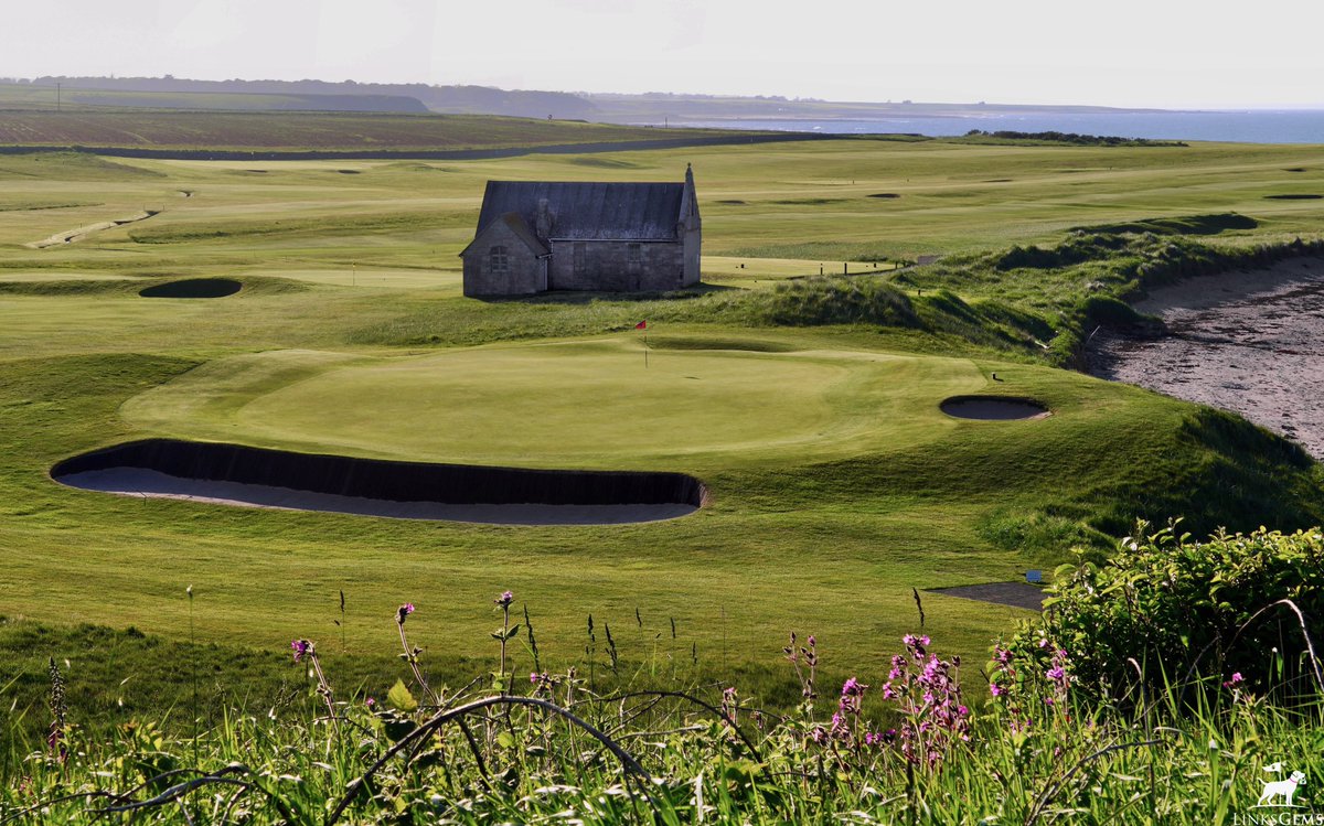 LinksGems tweet media