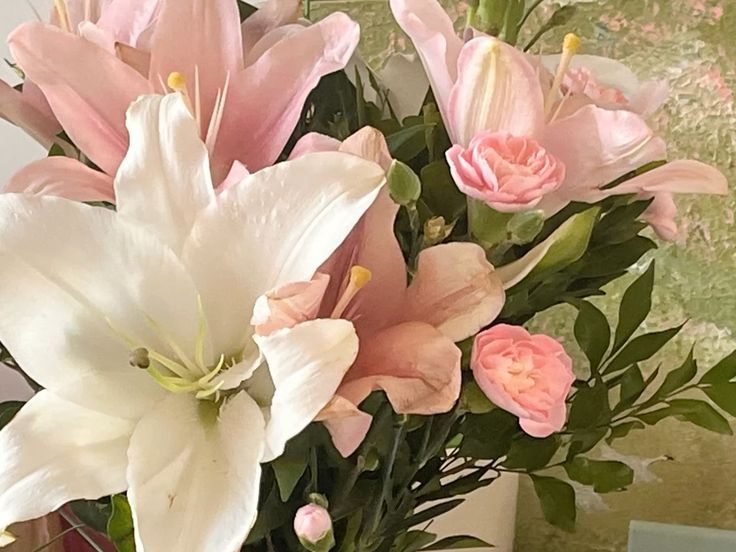 febgruary's tweet image. tolong like ya kalau masuk #zonauang