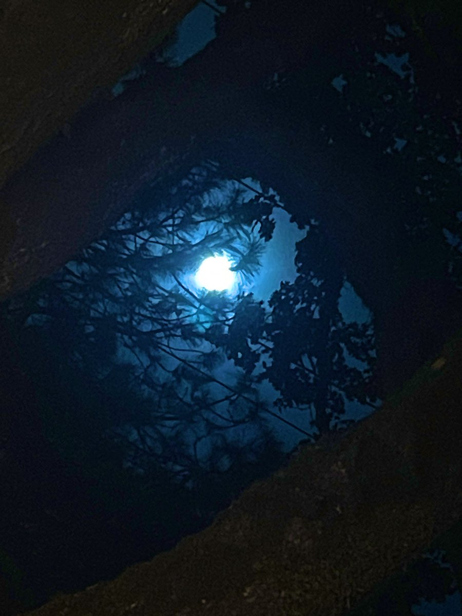 mono_monet's tweet photo. my phone is full of photos i take of the moon… https://t.co/NEtDrGtAJA