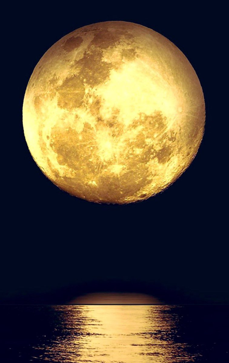 drirrinaldi's tweet image. やっぱり、あなたは超強運です！

【いいね&amp;amp;RT】で
今日の満月（スノームーン）を起点に
ずっと続いてた悪い流れが断ち切れ最幸の2026年になります！

【🌕】で効果は222倍です✨