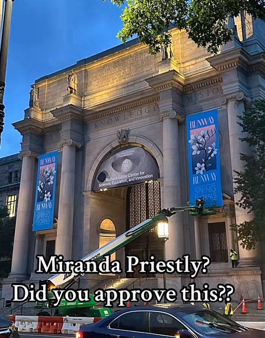 yola lung tweet media