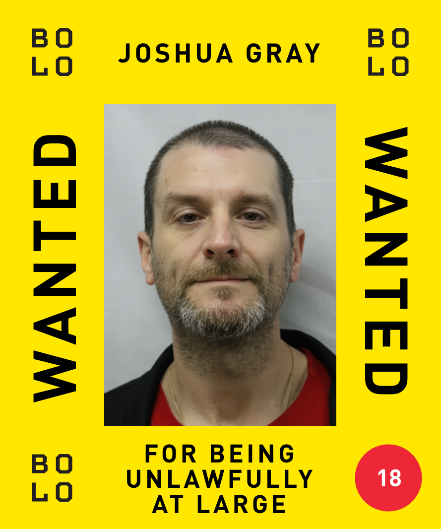 Bolo Program | Programme Bolo tweet media