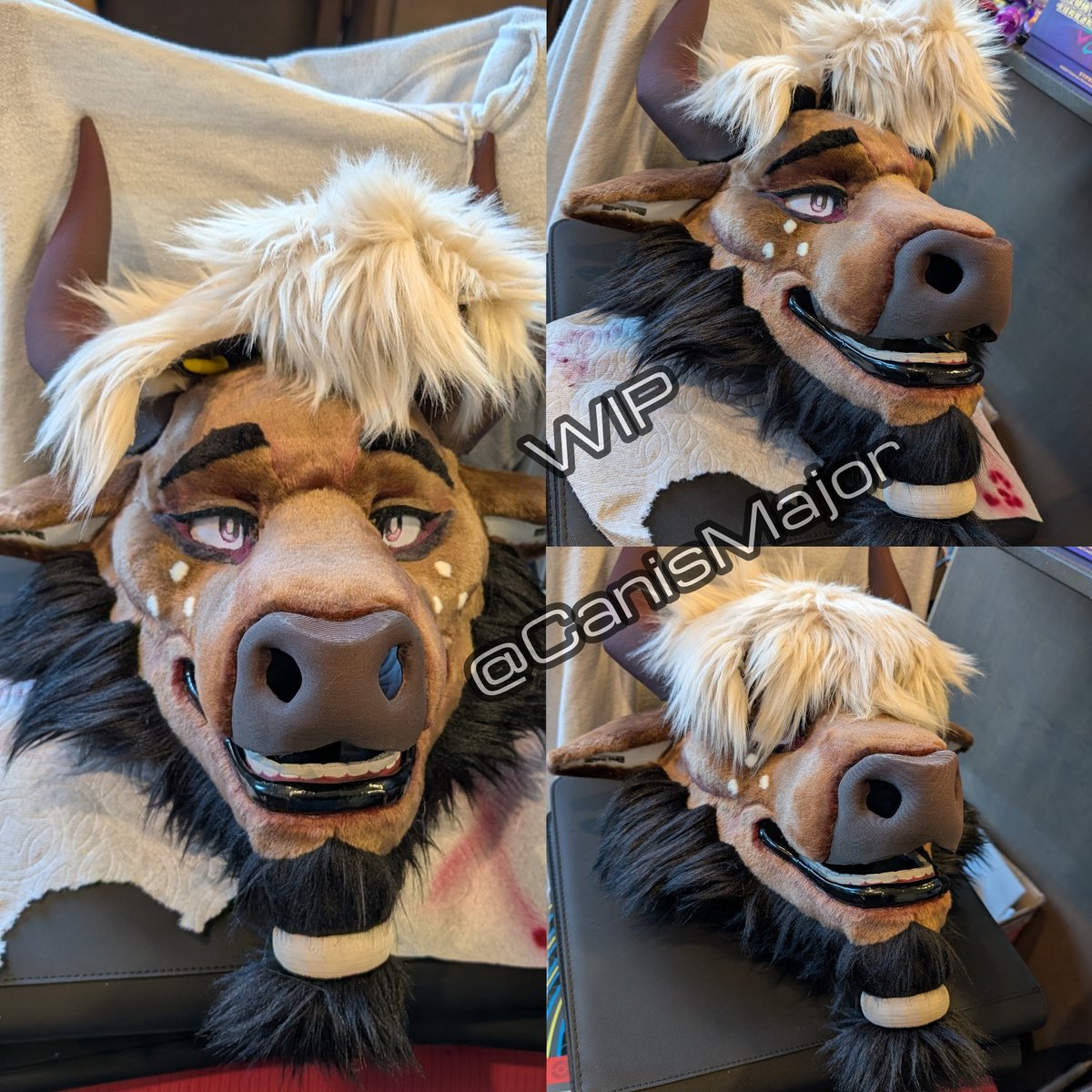 ✨CanisMajor ✨ tweet media