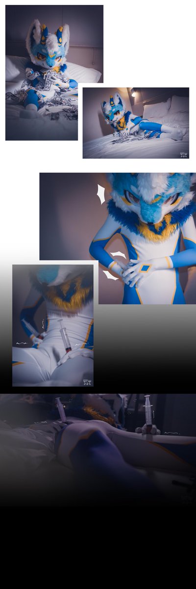 禁区狐 tweet media