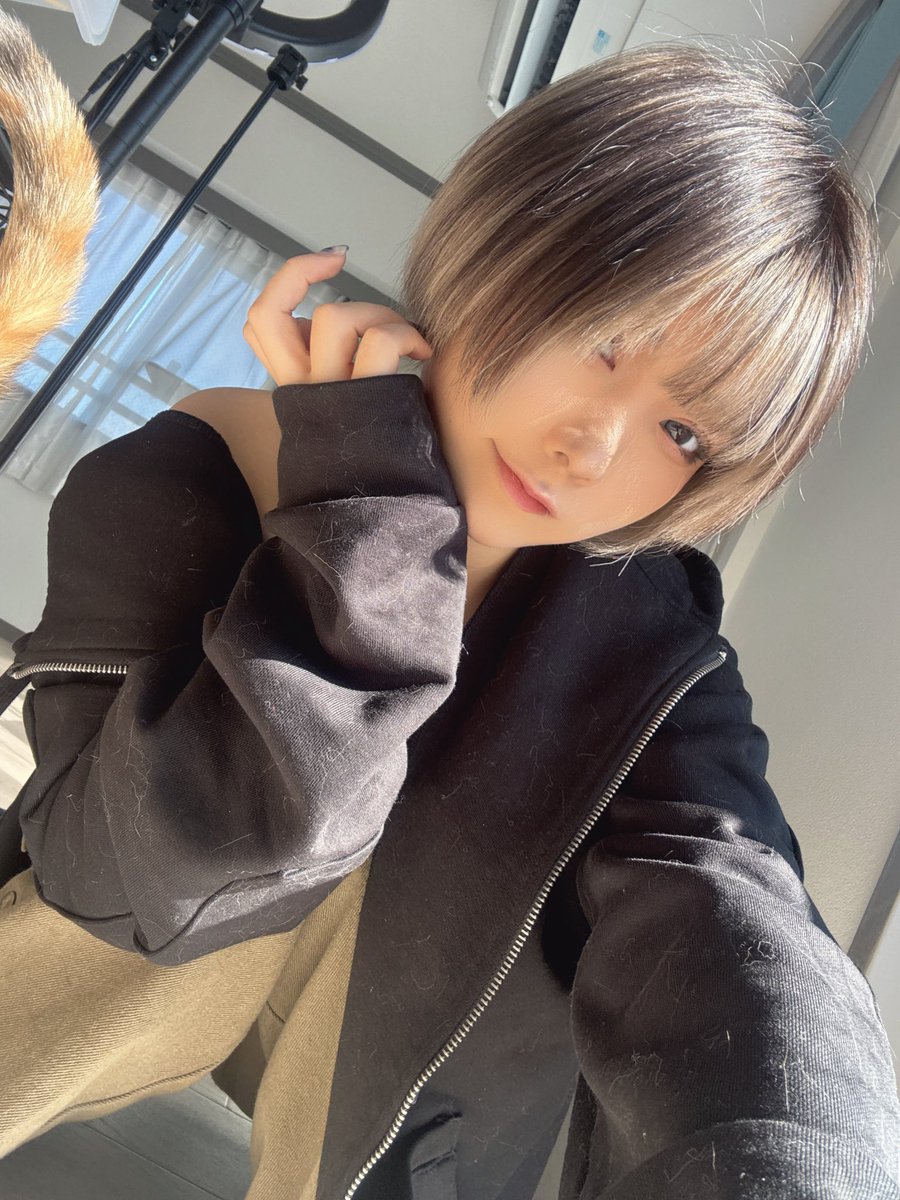 ひより🐈‍⬛🐾 (@hiyori___1209) / Posts / X