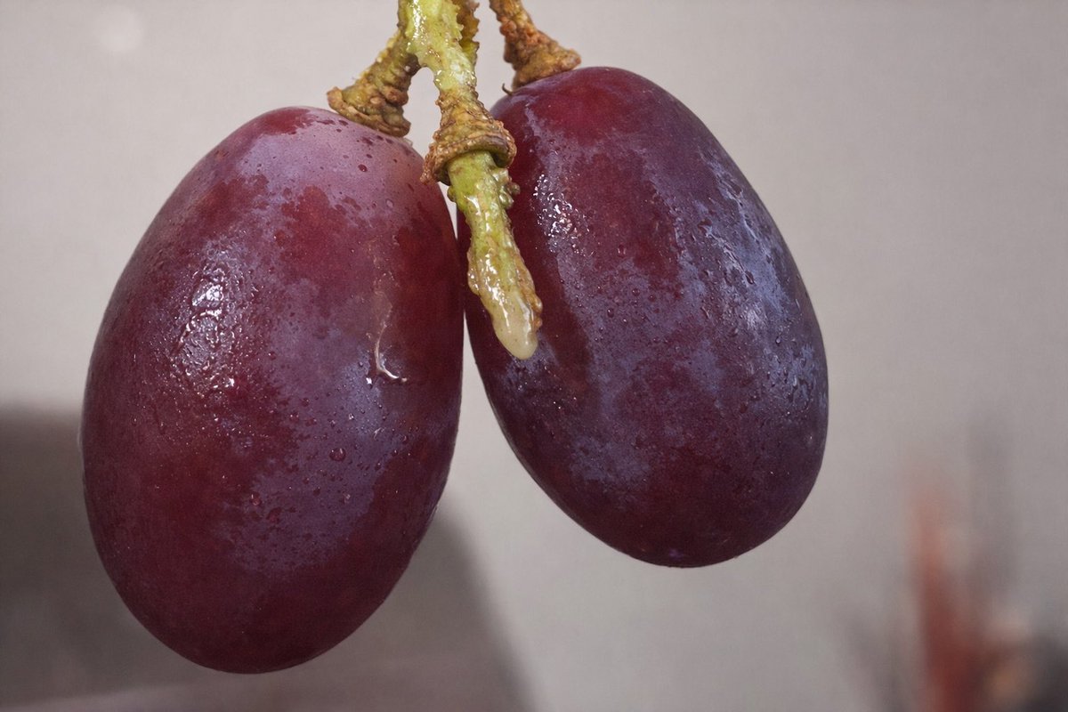 angelica960622's tweet image. Me estaba comiendo unas uvas… y me acordé de ti.