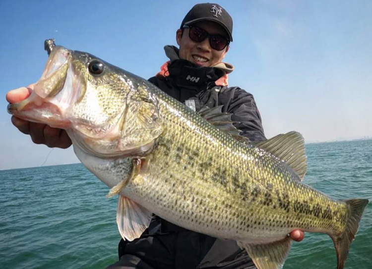 Megabass メガバス株式会社 (@megabass_jp) / Posts / X