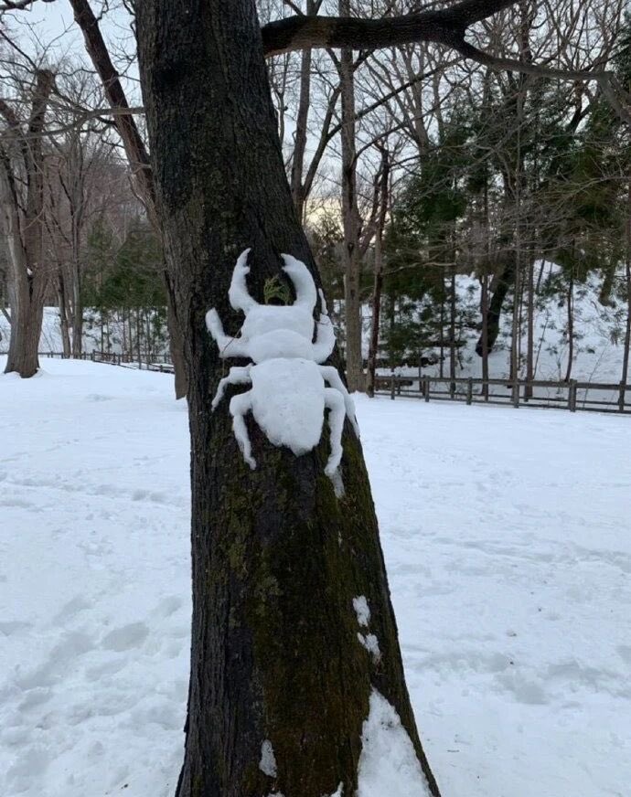 it adds a touch of humor and surprise