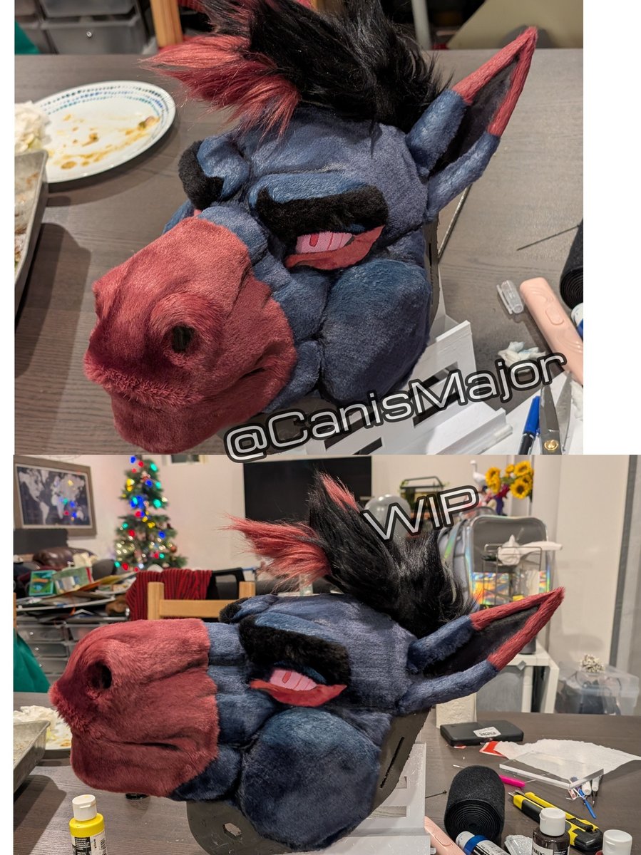 ✨CanisMajor ✨ tweet media