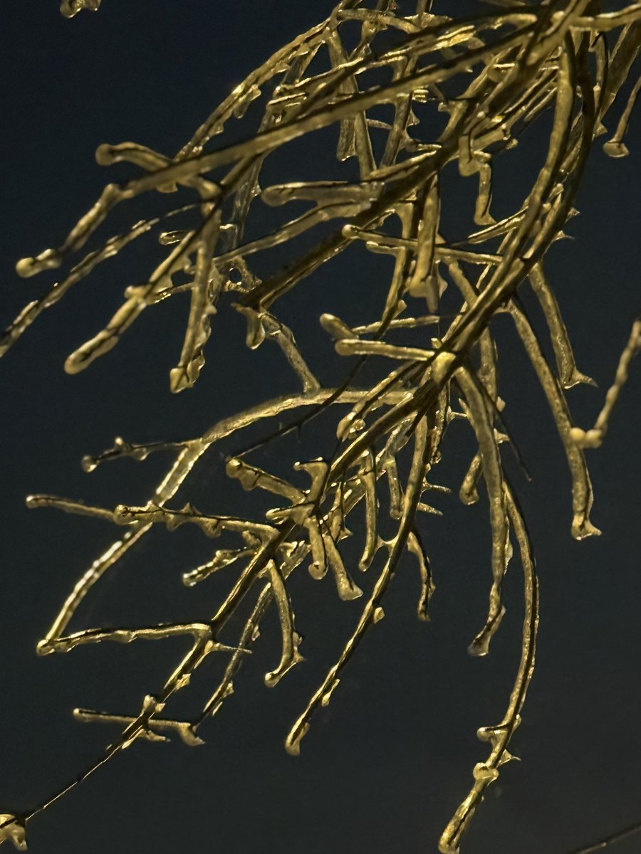 HenryRothenberg's tweet image. A full week later, and there are still giant icicles at my front door and ice-coated trees.

#Nashville #TNwx #IceStorm #ice