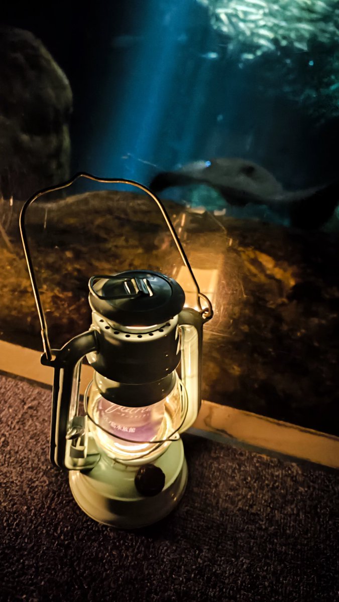 boshi_megu's tweet image. 閉館した新江ノ島水族館をランタン片手に巡ってきました！
#ぶらめぐる