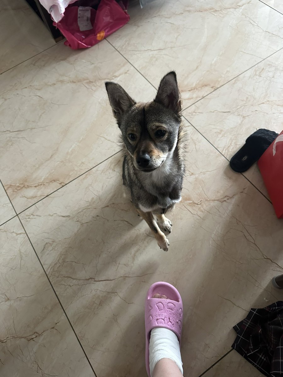 Xherry_C tweet media