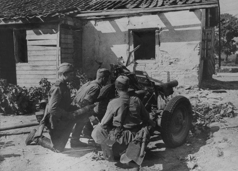 Расчёт советской 76-мм полковой пушки образца 1943 года на позиции.

1944
#WWII #WW2