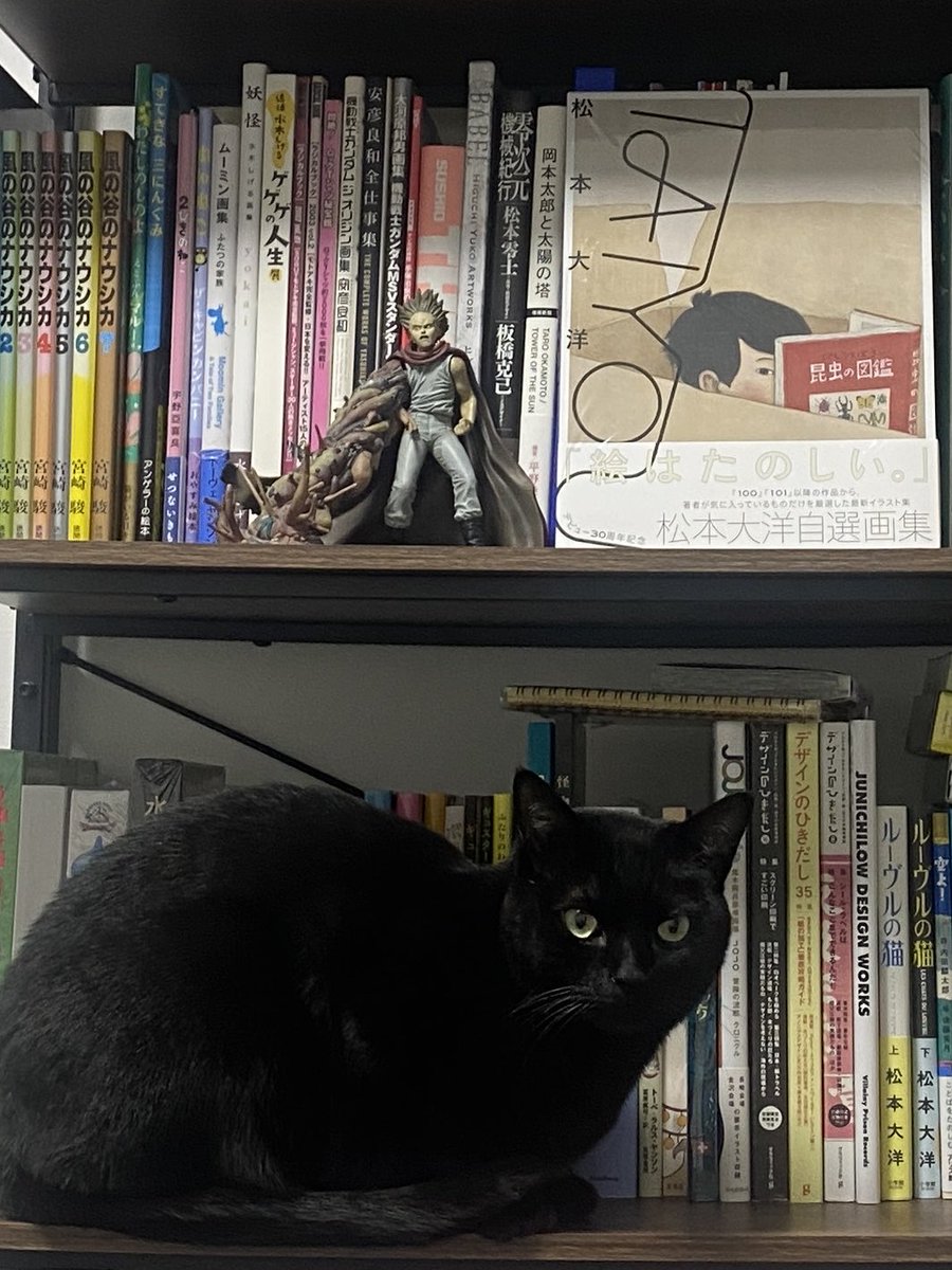 SPACE_CLOTHING's tweet photo. 松本大洋となっちゃん🐈‍⬛絵はたのしい。 https://t.co/yDi6NWGSLJ