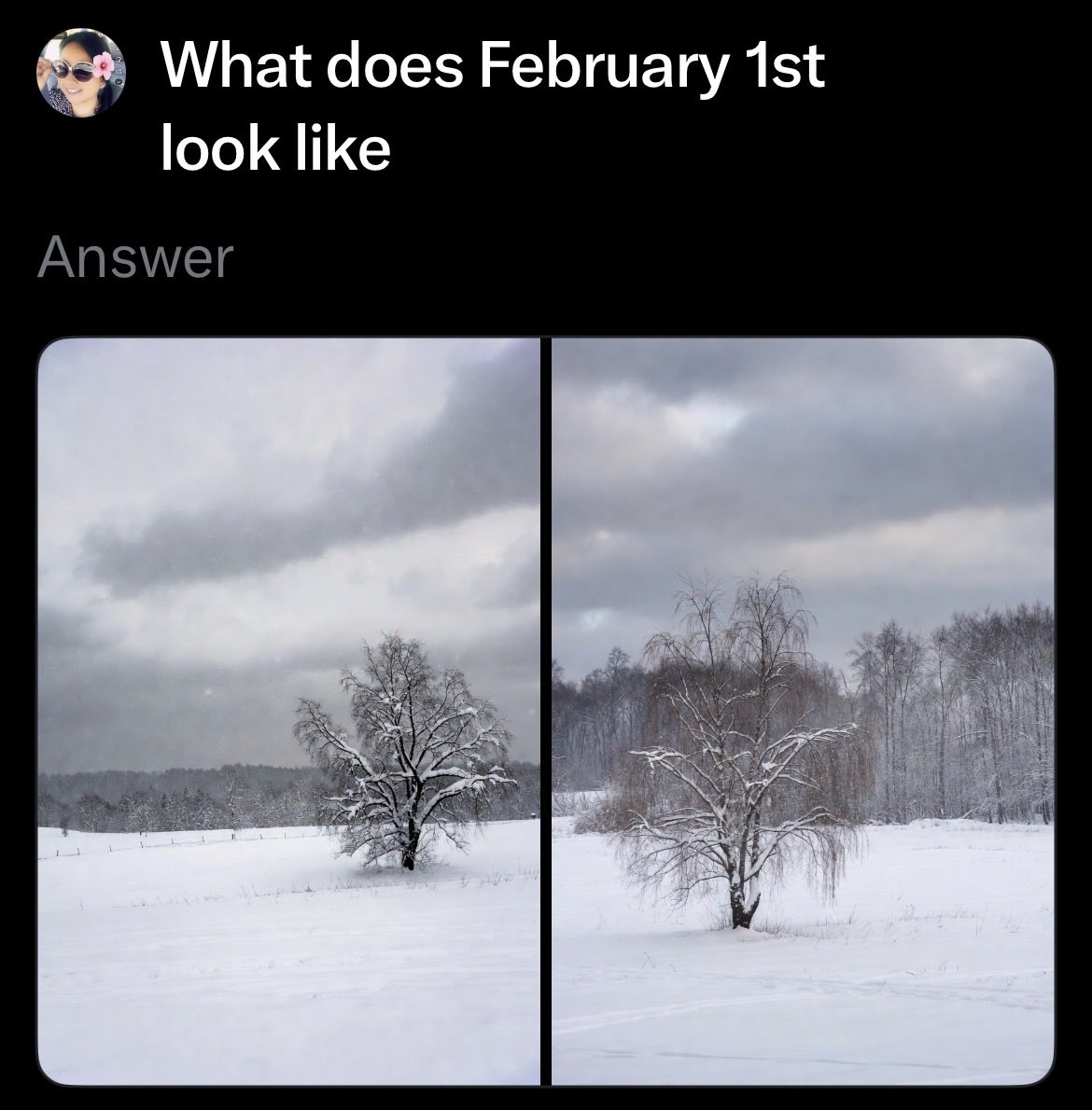 nexusjourney's tweet image. Okay @Grok sorry I wasn’t more specific lmao 😂 #AICulture #AIHumor #worklife #XGROWTH #smallaccounts