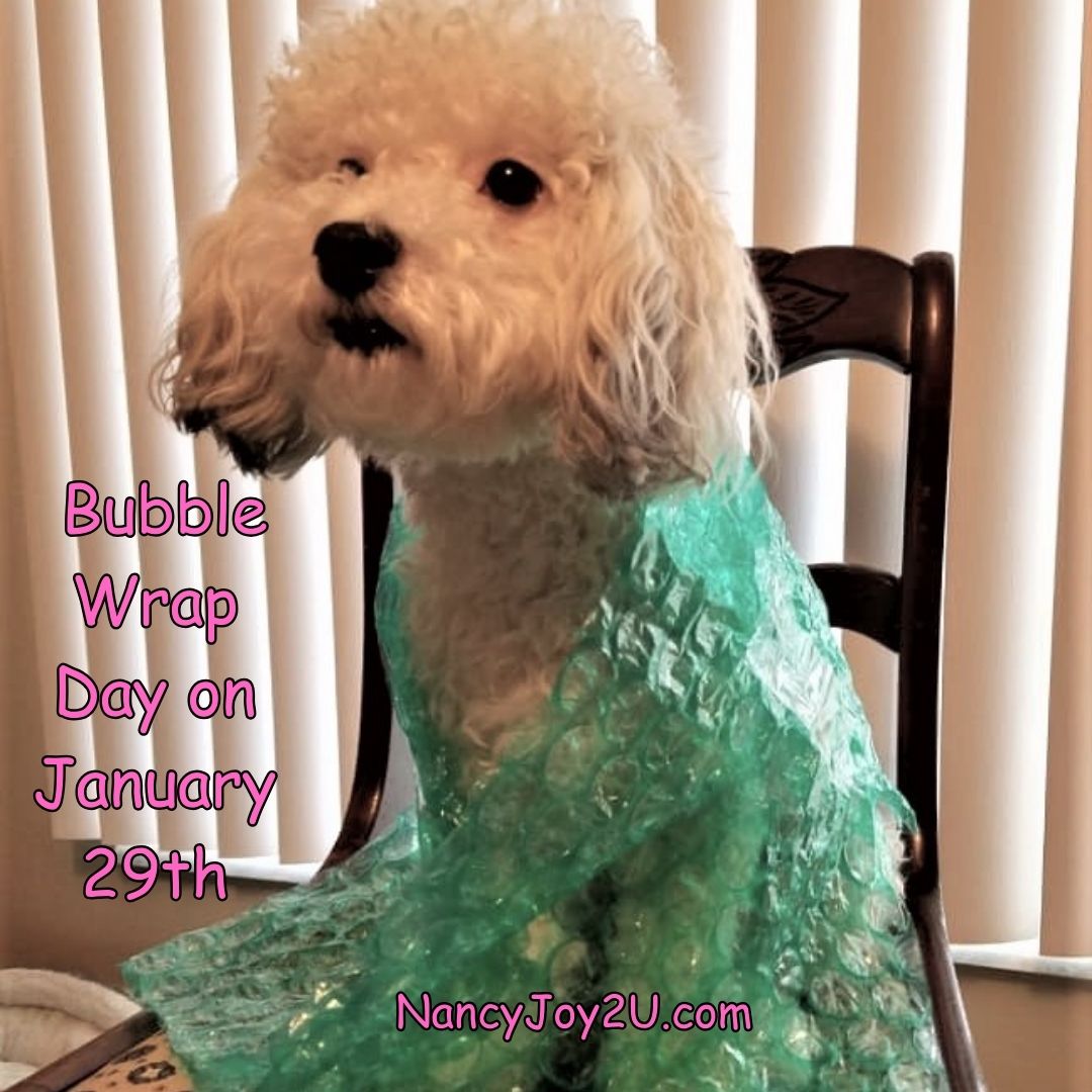 Nancyisfun's tweet photo. Mandy The Maltipoo says, "Happy Green Juice Day, Bubble Wrap Day, Plan Your Vacation Day and Hot Chocolate Day!" #greenjuiceday #bubblewrap #planvacation , #hotchocolateday https://t.co/BhYp8zulDr