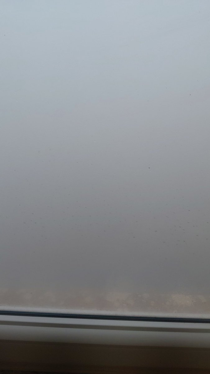 Richa Misra Tripathi tweet media